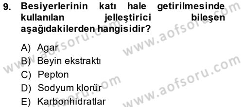 Temel Veteriner Mikrobiyoloji ve İmmünoloji Dersi 2014 - 2015 Yılı Tek Ders Sınav Soruları 9. Soru