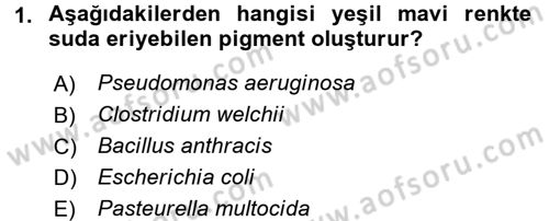 Temel Veteriner Mikrobiyoloji ve İmmünoloji Dersi 2015 - 2016 Yılı (Vize) Ara Sınav Soruları 1. Soru