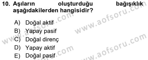 Temel Veteriner Mikrobiyoloji ve İmmünoloji Dersi 2015 - 2016 Yılı (Vize) Ara Sınav Soruları 10. Soru