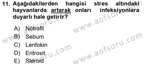 Temel Veteriner Mikrobiyoloji ve İmmünoloji Dersi 2015 - 2016 Yılı (Vize) Ara Sınavı 11. Soru