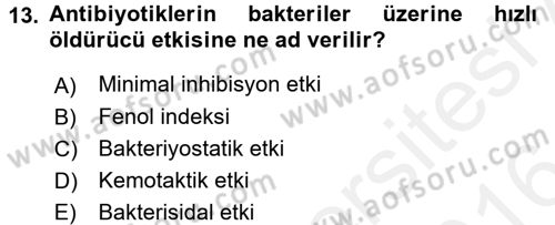 Temel Veteriner Mikrobiyoloji ve İmmünoloji Dersi 2015 - 2016 Yılı (Vize) Ara Sınavı 13. Soru