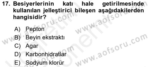 Temel Veteriner Mikrobiyoloji ve İmmünoloji Dersi 2015 - 2016 Yılı (Vize) Ara Sınav Soruları 17. Soru