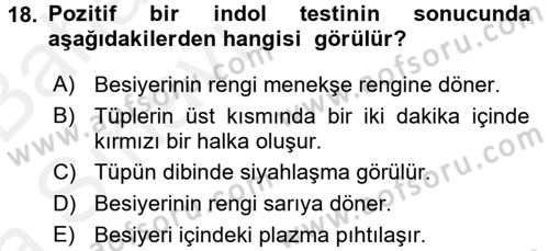 Temel Veteriner Mikrobiyoloji ve İmmünoloji Dersi 2015 - 2016 Yılı (Vize) Ara Sınav Soruları 18. Soru