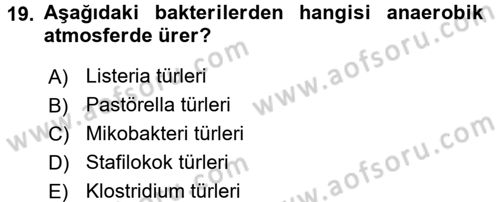 Temel Veteriner Mikrobiyoloji ve İmmünoloji Dersi 2015 - 2016 Yılı (Vize) Ara Sınav Soruları 19. Soru
