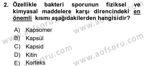 Temel Veteriner Mikrobiyoloji ve İmmünoloji Dersi 2015 - 2016 Yılı (Vize) Ara Sınav Soruları 2. Soru