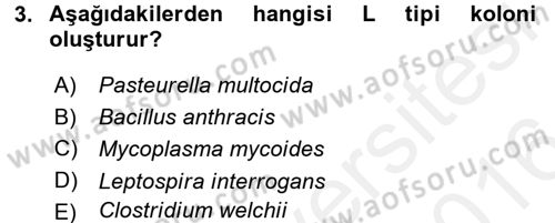 Temel Veteriner Mikrobiyoloji ve İmmünoloji Dersi 2015 - 2016 Yılı (Vize) Ara Sınav Soruları 3. Soru