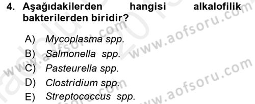 Temel Veteriner Mikrobiyoloji ve İmmünoloji Dersi 2015 - 2016 Yılı (Vize) Ara Sınav Soruları 4. Soru
