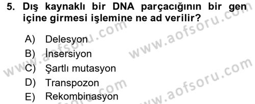 Temel Veteriner Mikrobiyoloji ve İmmünoloji Dersi 2015 - 2016 Yılı (Vize) Ara Sınav Soruları 5. Soru
