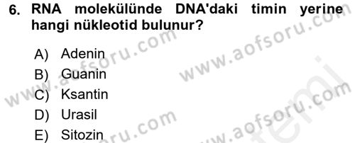 Temel Veteriner Mikrobiyoloji ve İmmünoloji Dersi 2015 - 2016 Yılı (Vize) Ara Sınav Soruları 6. Soru