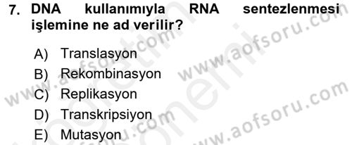 Temel Veteriner Mikrobiyoloji ve İmmünoloji Dersi 2015 - 2016 Yılı (Vize) Ara Sınav Soruları 7. Soru