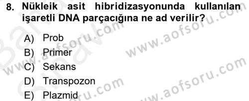 Temel Veteriner Mikrobiyoloji ve İmmünoloji Dersi 2015 - 2016 Yılı (Vize) Ara Sınav Soruları 8. Soru