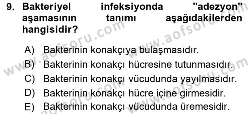 Temel Veteriner Mikrobiyoloji ve İmmünoloji Dersi 2015 - 2016 Yılı (Vize) Ara Sınav Soruları 9. Soru
