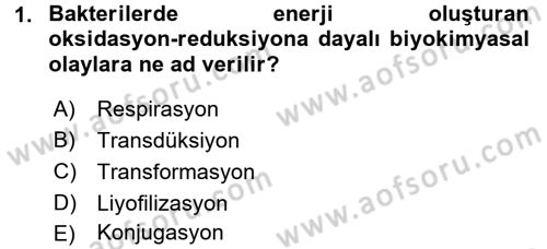 Temel Veteriner Mikrobiyoloji ve İmmünoloji Dersi 2015 - 2016 Yılı (Final) Dönem Sonu Sınav Soruları 1. Soru