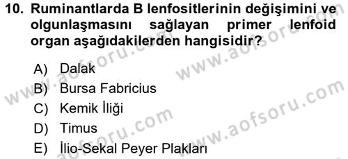 Temel Veteriner Mikrobiyoloji ve İmmünoloji Dersi 2015 - 2016 Yılı (Final) Dönem Sonu Sınav Soruları 10. Soru