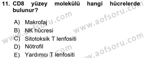 Temel Veteriner Mikrobiyoloji ve İmmünoloji Dersi 2015 - 2016 Yılı (Final) Dönem Sonu Sınav Soruları 11. Soru