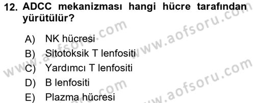 Temel Veteriner Mikrobiyoloji ve İmmünoloji Dersi 2015 - 2016 Yılı (Final) Dönem Sonu Sınav Soruları 12. Soru