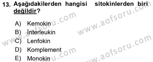 Temel Veteriner Mikrobiyoloji ve İmmünoloji Dersi 2015 - 2016 Yılı (Final) Dönem Sonu Sınav Soruları 13. Soru