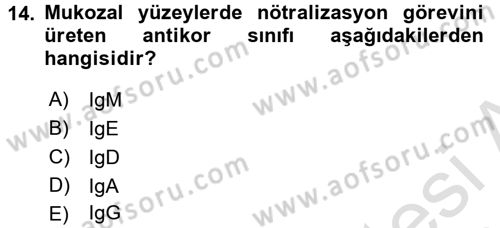 Temel Veteriner Mikrobiyoloji ve İmmünoloji Dersi 2015 - 2016 Yılı (Final) Dönem Sonu Sınav Soruları 14. Soru