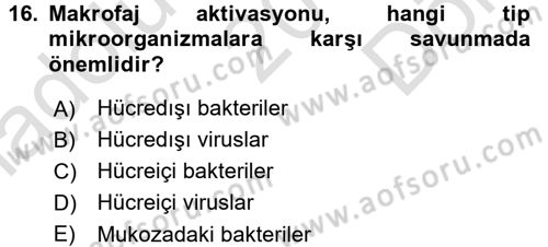 Temel Veteriner Mikrobiyoloji ve İmmünoloji Dersi 2015 - 2016 Yılı (Final) Dönem Sonu Sınav Soruları 16. Soru