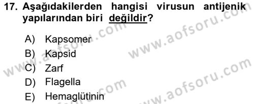 Temel Veteriner Mikrobiyoloji ve İmmünoloji Dersi 2015 - 2016 Yılı (Final) Dönem Sonu Sınav Soruları 17. Soru