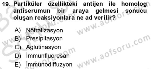 Temel Veteriner Mikrobiyoloji ve İmmünoloji Dersi 2015 - 2016 Yılı (Final) Dönem Sonu Sınav Soruları 19. Soru