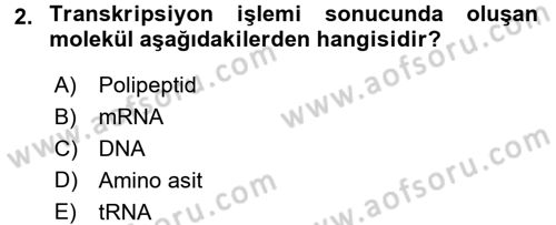 Temel Veteriner Mikrobiyoloji ve İmmünoloji Dersi 2015 - 2016 Yılı (Final) Dönem Sonu Sınav Soruları 2. Soru