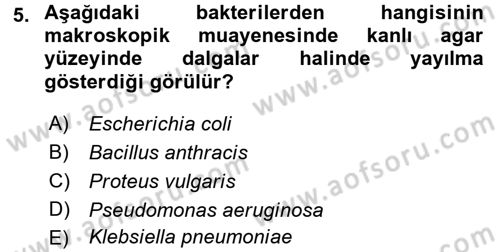 Temel Veteriner Mikrobiyoloji ve İmmünoloji Dersi 2015 - 2016 Yılı (Final) Dönem Sonu Sınav Soruları 5. Soru