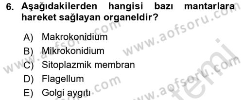Temel Veteriner Mikrobiyoloji ve İmmünoloji Dersi 2015 - 2016 Yılı (Final) Dönem Sonu Sınav Soruları 6. Soru