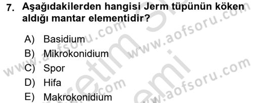 Temel Veteriner Mikrobiyoloji ve İmmünoloji Dersi 2015 - 2016 Yılı (Final) Dönem Sonu Sınav Soruları 7. Soru