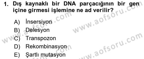 Temel Veteriner Mikrobiyoloji ve İmmünoloji Dersi 2015 - 2016 Yılı Tek Ders Sınav Soruları 1. Soru