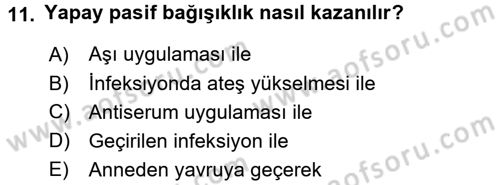 Temel Veteriner Mikrobiyoloji ve İmmünoloji Dersi 2015 - 2016 Yılı Tek Ders Sınav Soruları 11. Soru