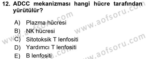 Temel Veteriner Mikrobiyoloji ve İmmünoloji Dersi 2015 - 2016 Yılı Tek Ders Sınav Soruları 12. Soru