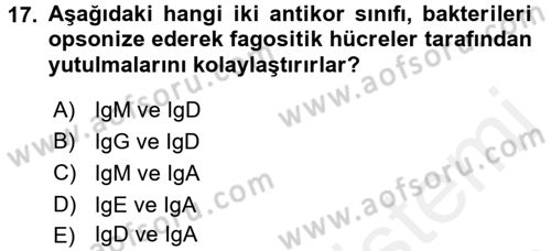 Temel Veteriner Mikrobiyoloji ve İmmünoloji Dersi 2015 - 2016 Yılı Tek Ders Sınav Soruları 17. Soru