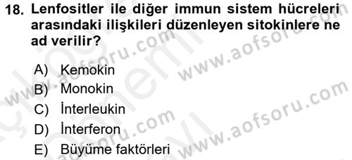 Temel Veteriner Mikrobiyoloji ve İmmünoloji Dersi 2015 - 2016 Yılı Tek Ders Sınav Soruları 18. Soru
