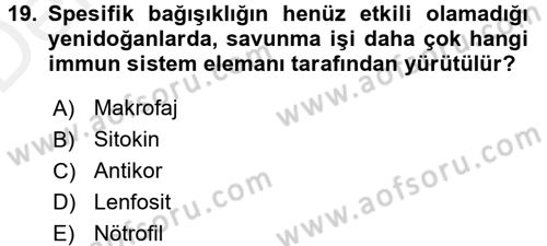 Temel Veteriner Mikrobiyoloji ve İmmünoloji Dersi 2015 - 2016 Yılı Tek Ders Sınav Soruları 19. Soru