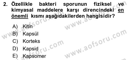 Temel Veteriner Mikrobiyoloji ve İmmünoloji Dersi 2015 - 2016 Yılı Tek Ders Sınav Soruları 2. Soru