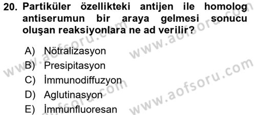 Temel Veteriner Mikrobiyoloji ve İmmünoloji Dersi 2015 - 2016 Yılı Tek Ders Sınav Soruları 20. Soru