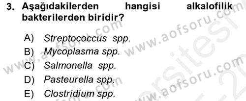 Temel Veteriner Mikrobiyoloji ve İmmünoloji Dersi 2015 - 2016 Yılı Tek Ders Sınav Soruları 3. Soru