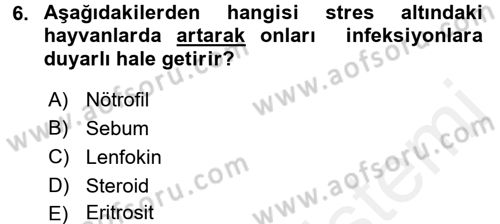 Temel Veteriner Mikrobiyoloji ve İmmünoloji Dersi 2015 - 2016 Yılı Tek Ders Sınav Soruları 6. Soru