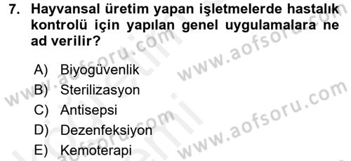 Temel Veteriner Mikrobiyoloji ve İmmünoloji Dersi 2015 - 2016 Yılı Tek Ders Sınav Soruları 7. Soru