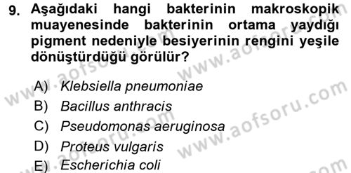 Temel Veteriner Mikrobiyoloji ve İmmünoloji Dersi 2015 - 2016 Yılı Tek Ders Sınavı 9. Soru