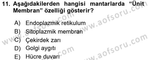 Temel Veteriner Mikrobiyoloji ve İmmünoloji Dersi 2016 - 2017 Yılı 3 Ders Sınav Soruları 11. Soru