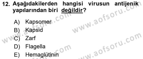 Temel Veteriner Mikrobiyoloji ve İmmünoloji Dersi 2016 - 2017 Yılı 3 Ders Sınav Soruları 12. Soru