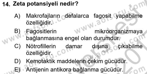 Temel Veteriner Mikrobiyoloji ve İmmünoloji Dersi 2016 - 2017 Yılı 3 Ders Sınav Soruları 14. Soru