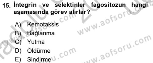 Temel Veteriner Mikrobiyoloji ve İmmünoloji Dersi 2016 - 2017 Yılı 3 Ders Sınav Soruları 15. Soru
