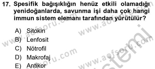 Temel Veteriner Mikrobiyoloji ve İmmünoloji Dersi 2016 - 2017 Yılı 3 Ders Sınav Soruları 17. Soru