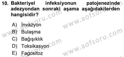 Temel Veteriner Mikrobiyoloji ve İmmünoloji Dersi 2016 - 2017 Yılı (Vize) Ara Sınavı 10. Soru