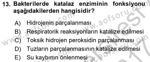 Temel Veteriner Mikrobiyoloji ve İmmünoloji Dersi 2016 - 2017 Yılı (Vize) Ara Sınavı 13. Soru