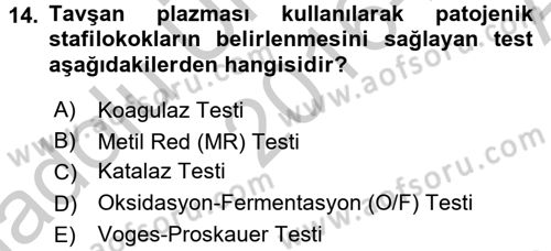 Temel Veteriner Mikrobiyoloji ve İmmünoloji Dersi 2016 - 2017 Yılı (Vize) Ara Sınavı 14. Soru