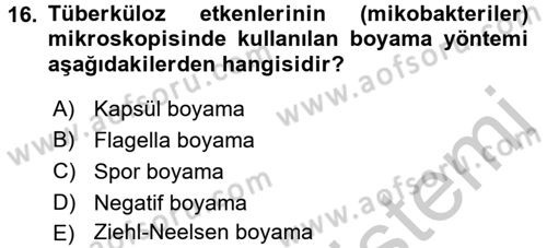 Temel Veteriner Mikrobiyoloji ve İmmünoloji Dersi 2016 - 2017 Yılı (Vize) Ara Sınavı 16. Soru